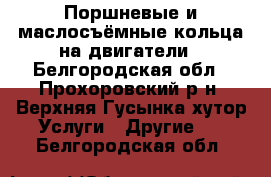 Поршневые и маслосъёмные кольца на двигатели - Белгородская обл., Прохоровский р-н, Верхняя Гусынка хутор Услуги » Другие   . Белгородская обл.